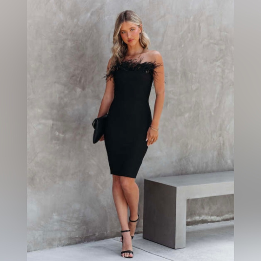 VICI Showstopper Feather Dress